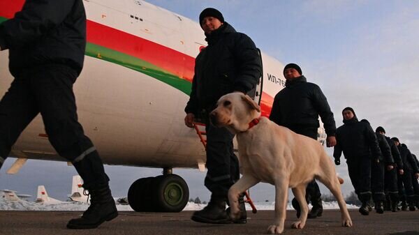    © Sputnik / Виктор Толочко