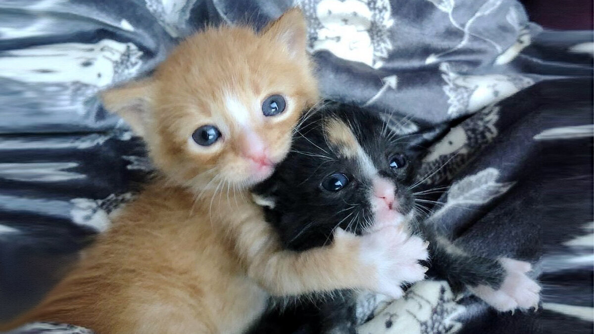 источник фото: funart.pro