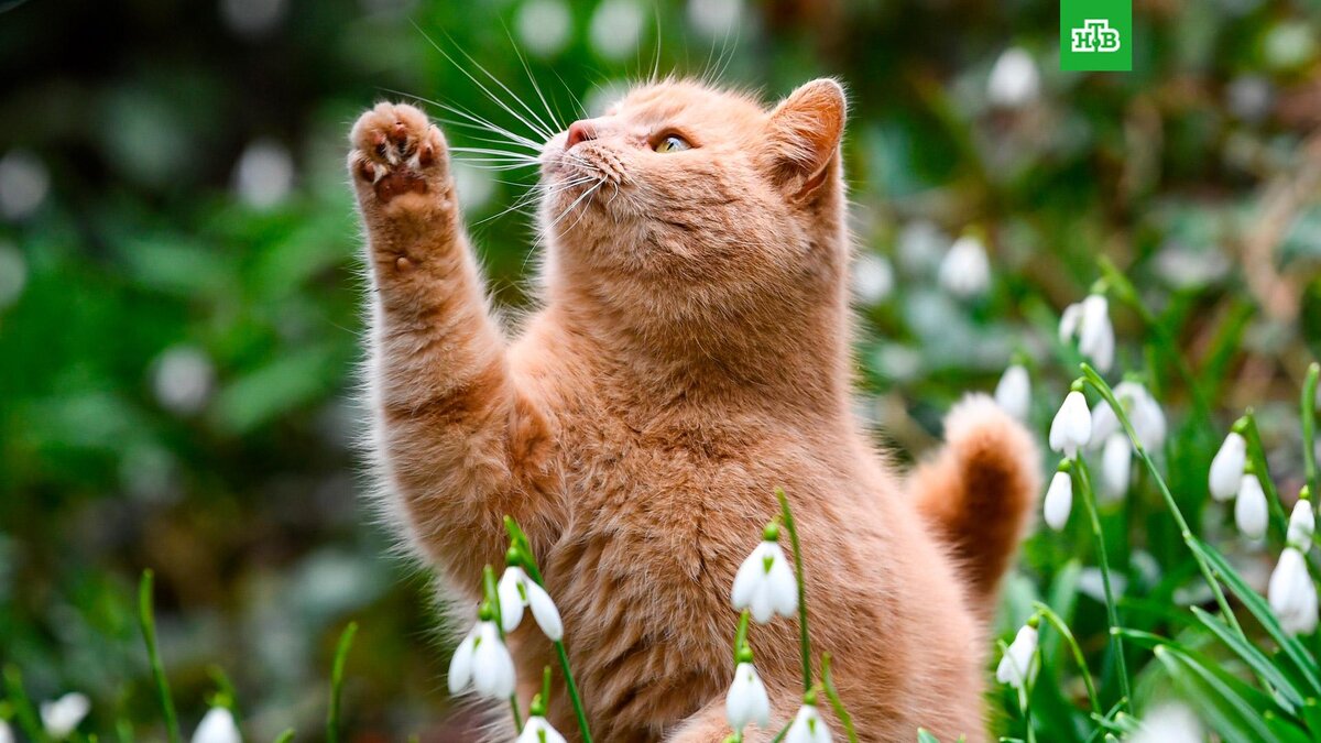    Фото: РИА Новости © 2023, Константин Михальчевский