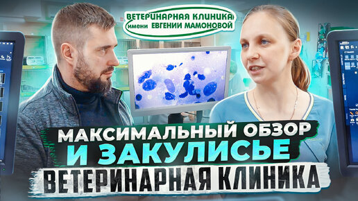 Закулисье ветеринарной клиники | То, что не видят клиенты | Ветеринарная клиника имени Евгении Мамонов