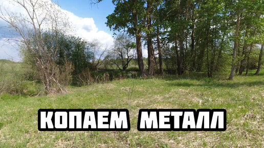 Копаем металл