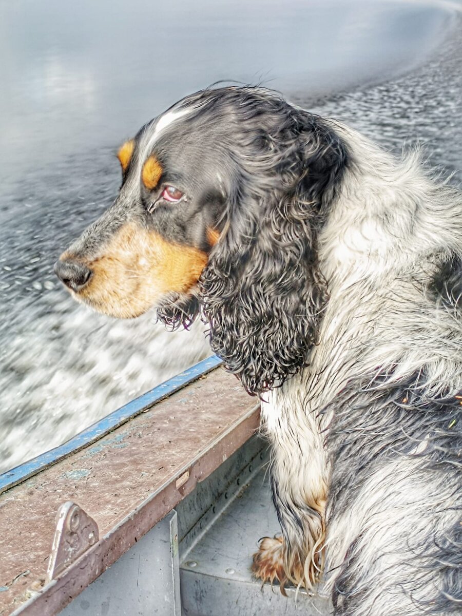 матрос Юкки как всегда  занял свое  место в катере