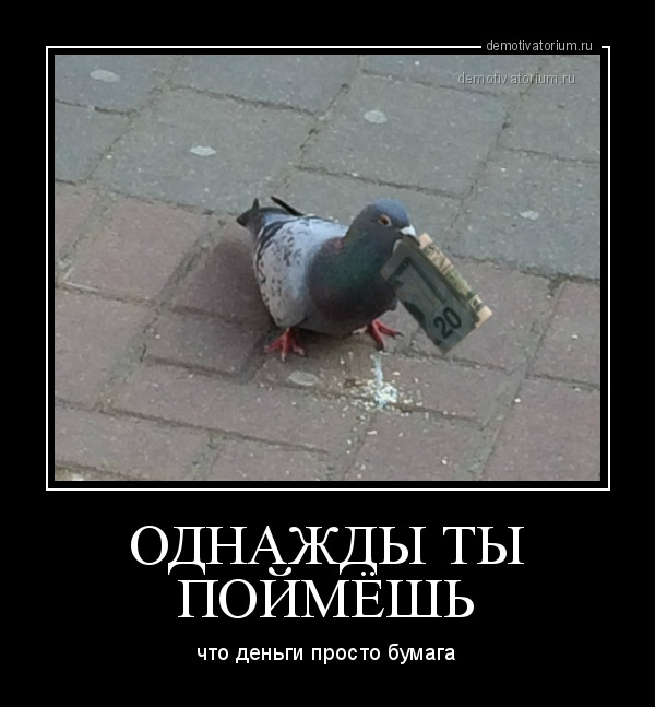 Приметы накакала. Голубь. Голубь с деньгами. Нагадили птицы к деньгам