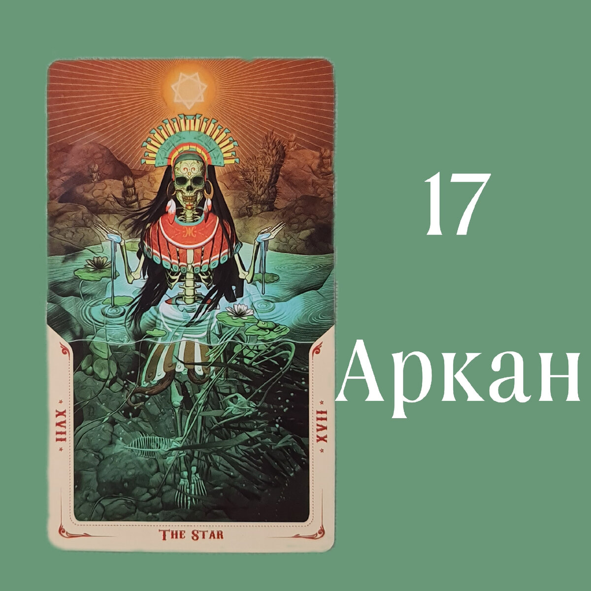 Семиконечная звезда