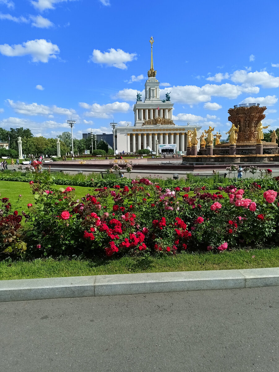 Розы на ВДНХ. | Галка на вахте | Дзен