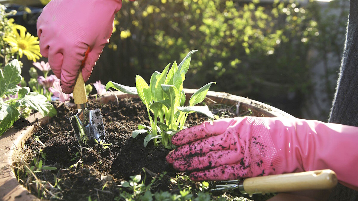    Как позаботиться о своих руках