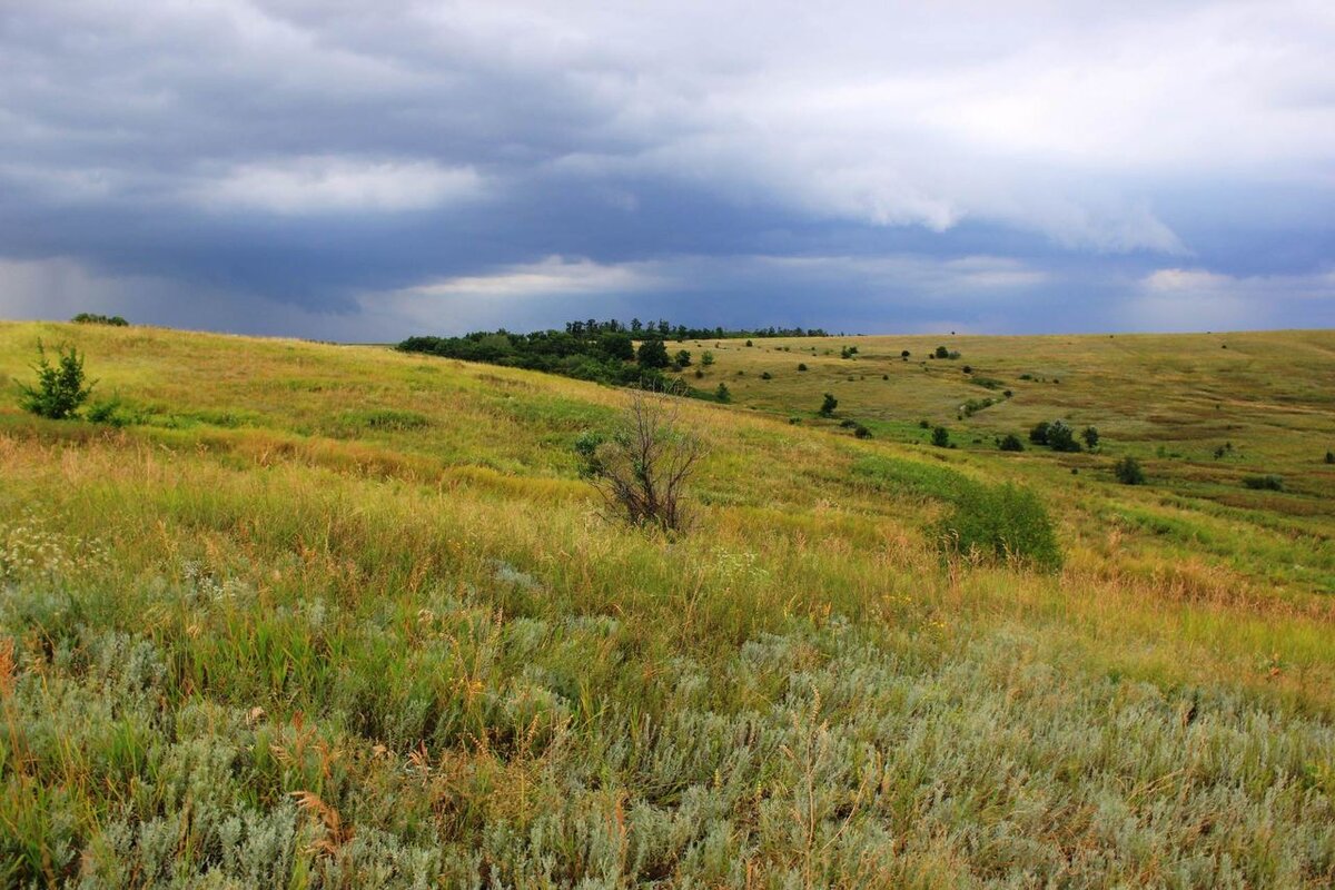 Фото из открытых источников.