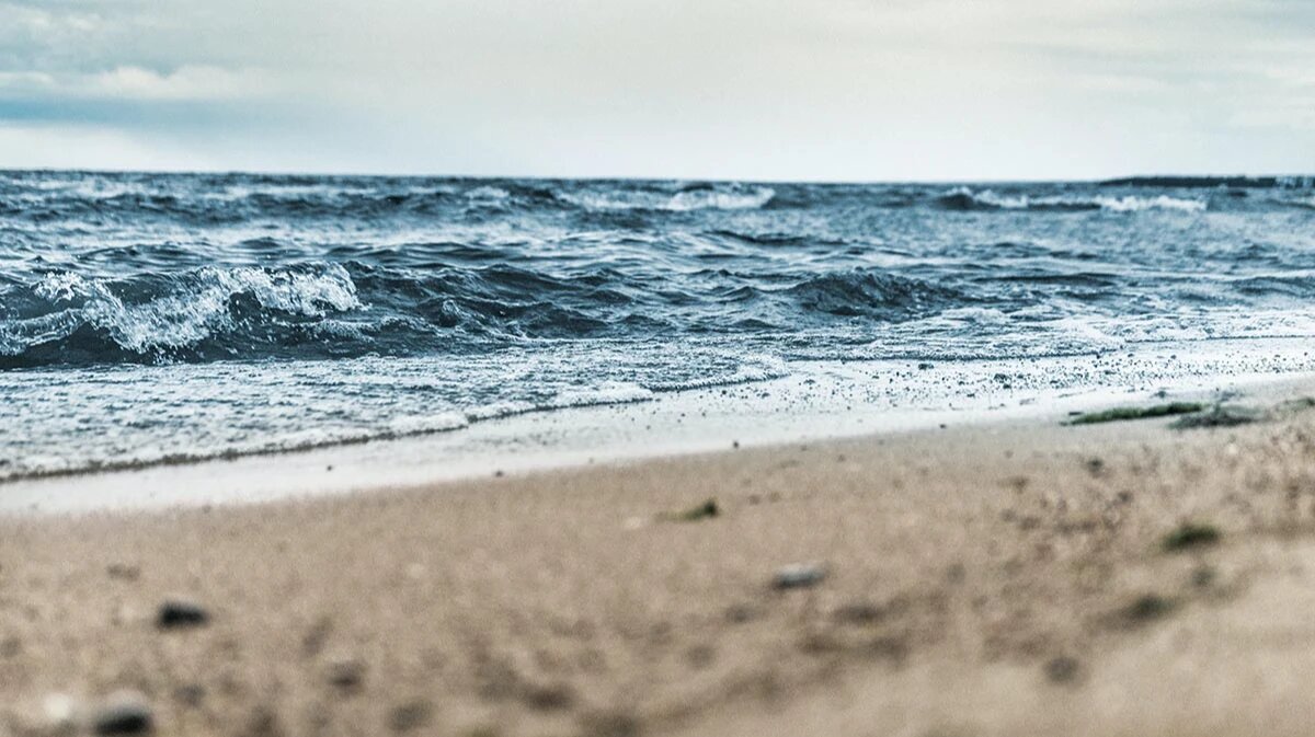 Фото: Unsplash