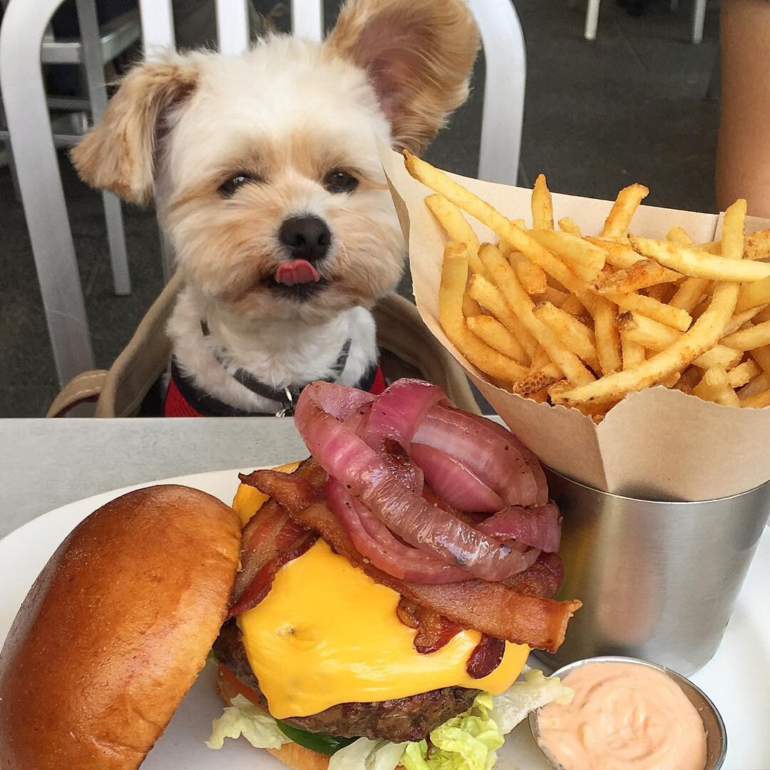 Оооо как же все вкусно пахнет....