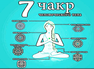 Рисунок 139. 7 чакр или 7 с(ч)акральных, или скрытых особенностей человека