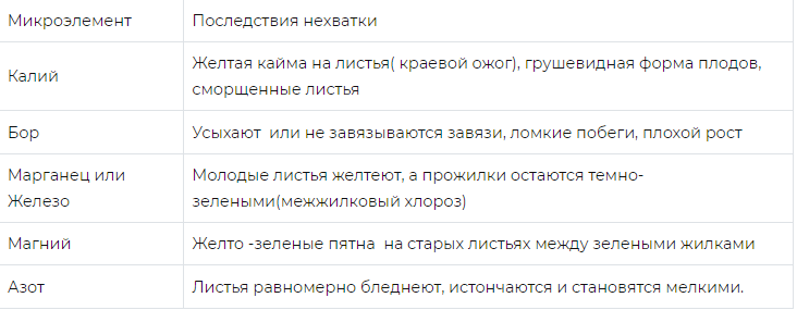 Нехватка минералов у огурцов