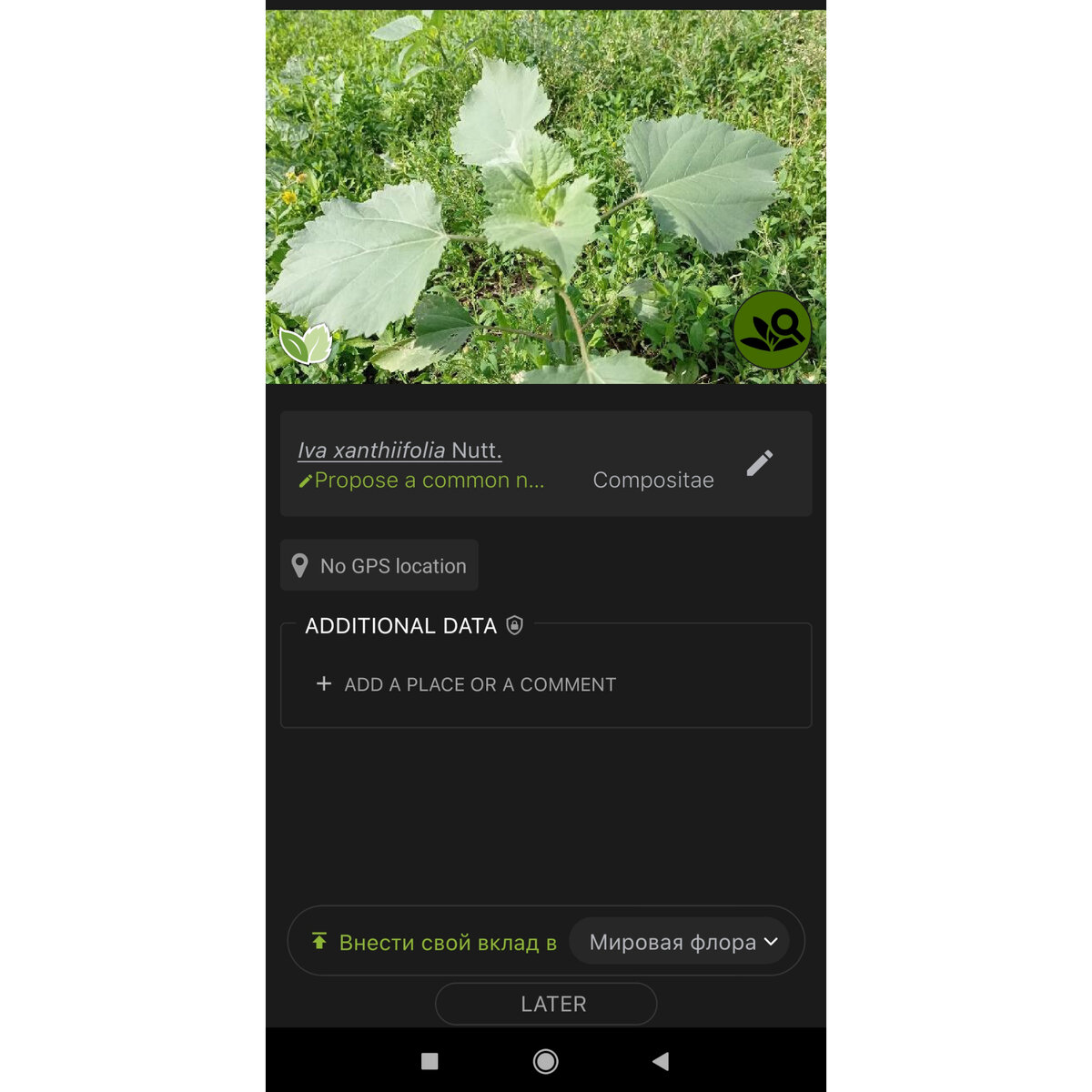 Скриншот приложения для определения растений