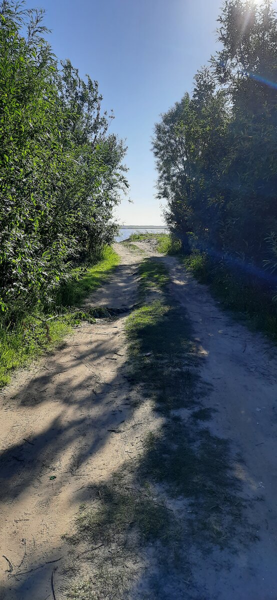 Дорога к цели бывает непростой, но всегда очень интересна.