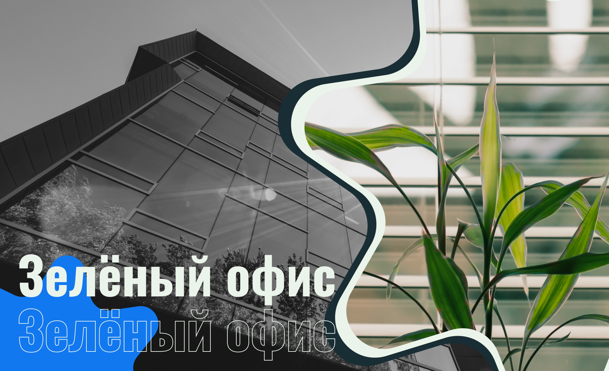 Зелёный офис