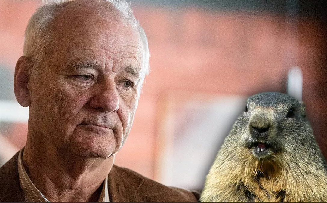 Старый Б. Мюррей и его сурок