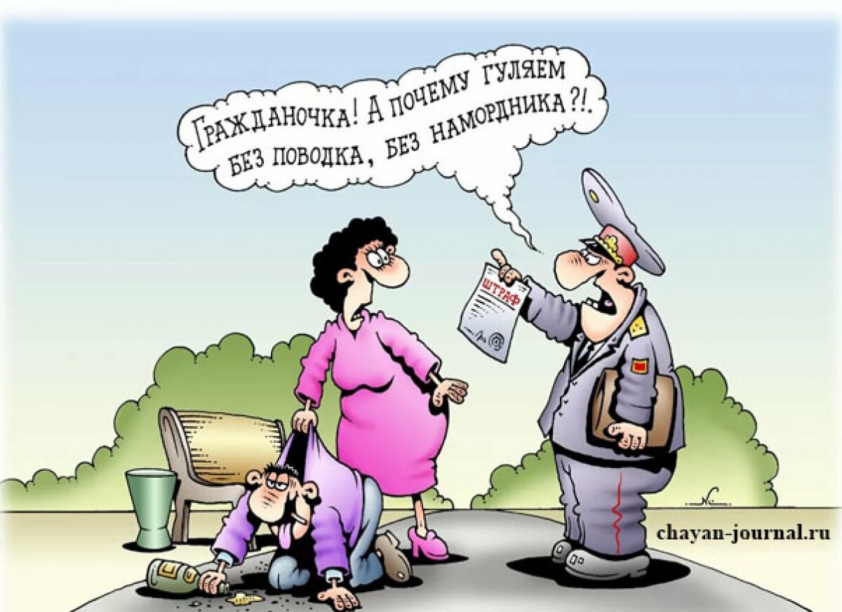 Животные смеются. Весёлые картинки с надписями. Смешные картинки с животными. Прикольные котики фото с надписями. Смешные картинки животных с надписями.