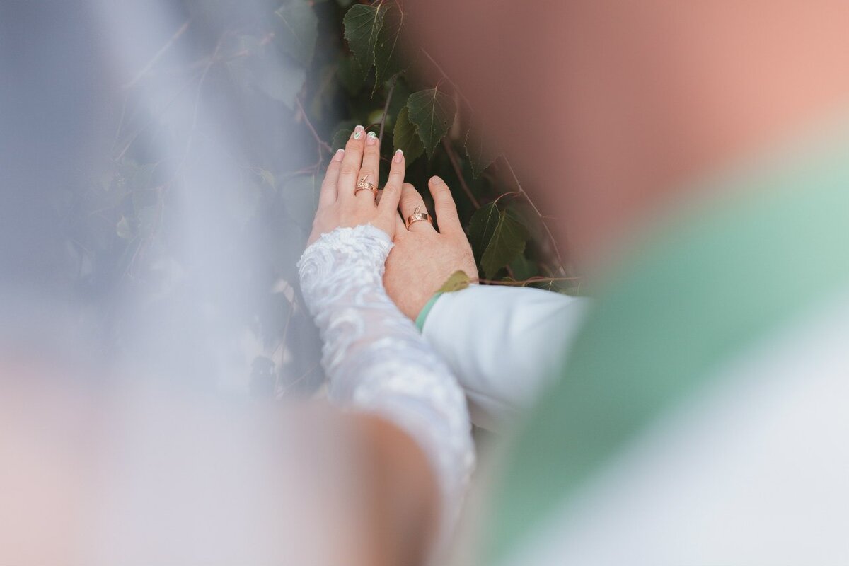 молодожены