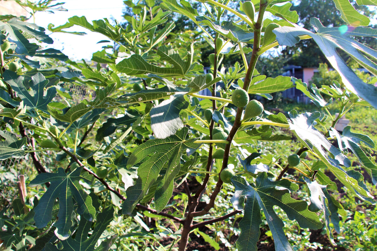 Листаем галерею. 