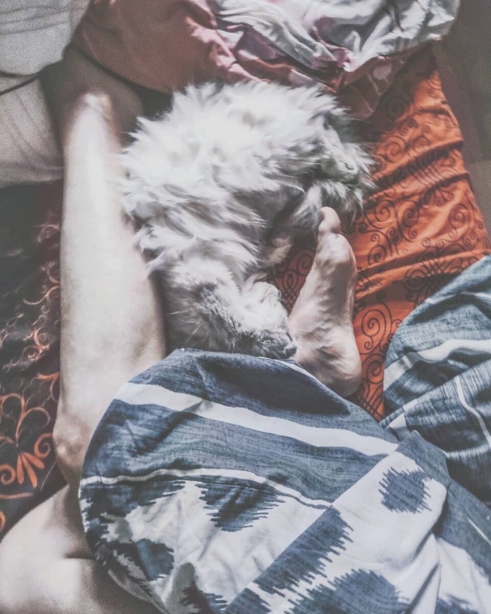 Источник изображения - личный инстаграм Елены Науменко @elenaumenk0