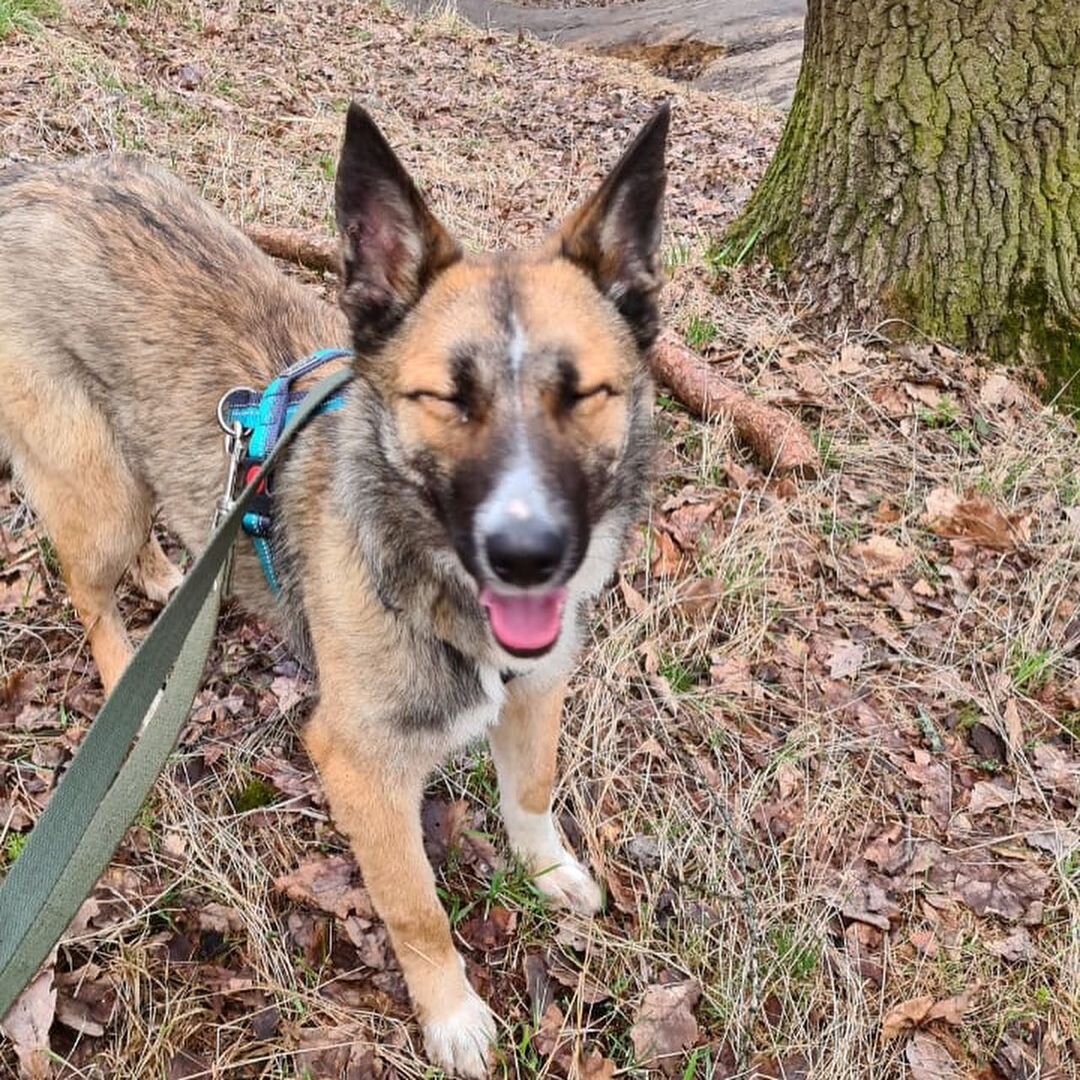 Кайра рада!