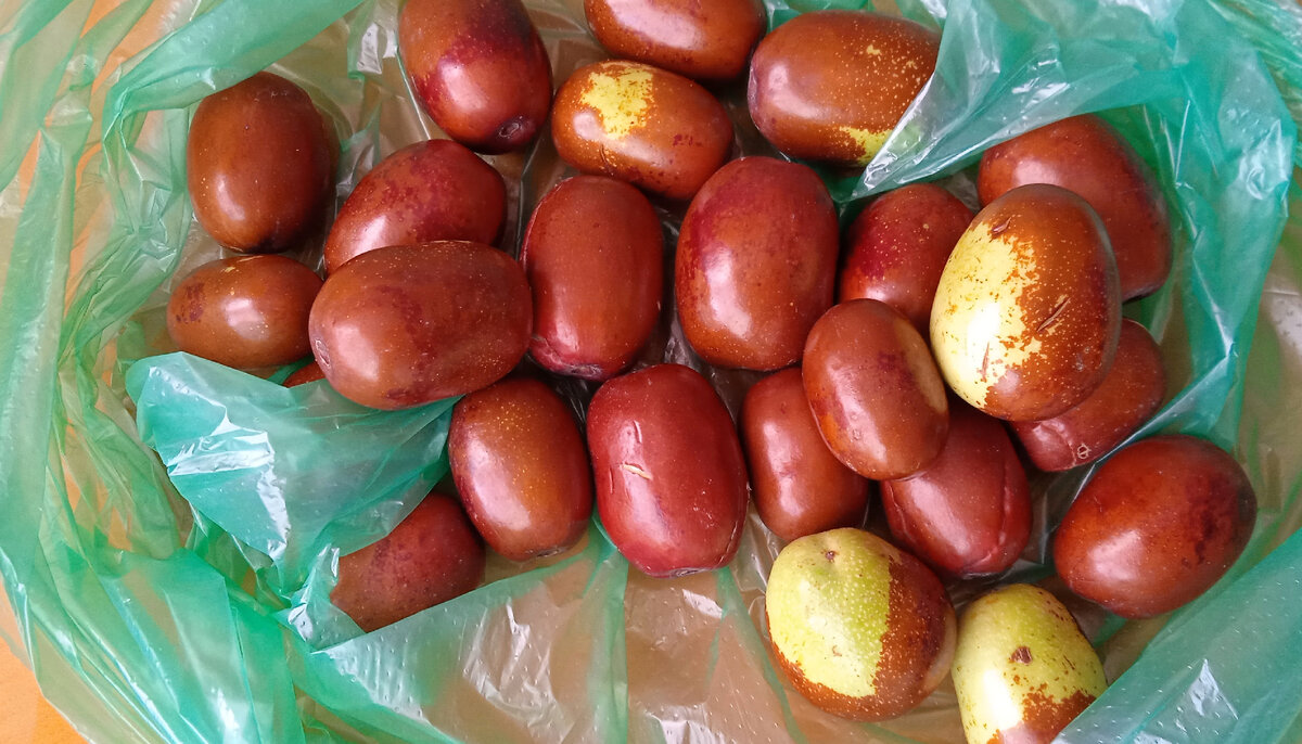 Унаби - наша покупка