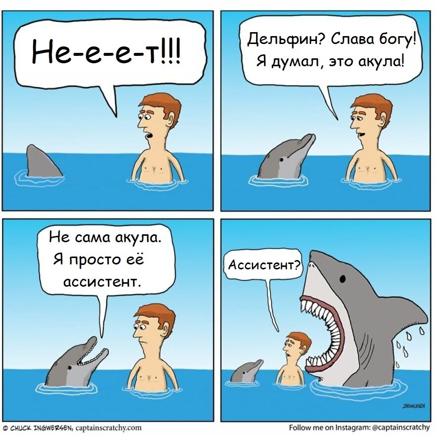 Фото: www.instagram.com/captainscratchy 