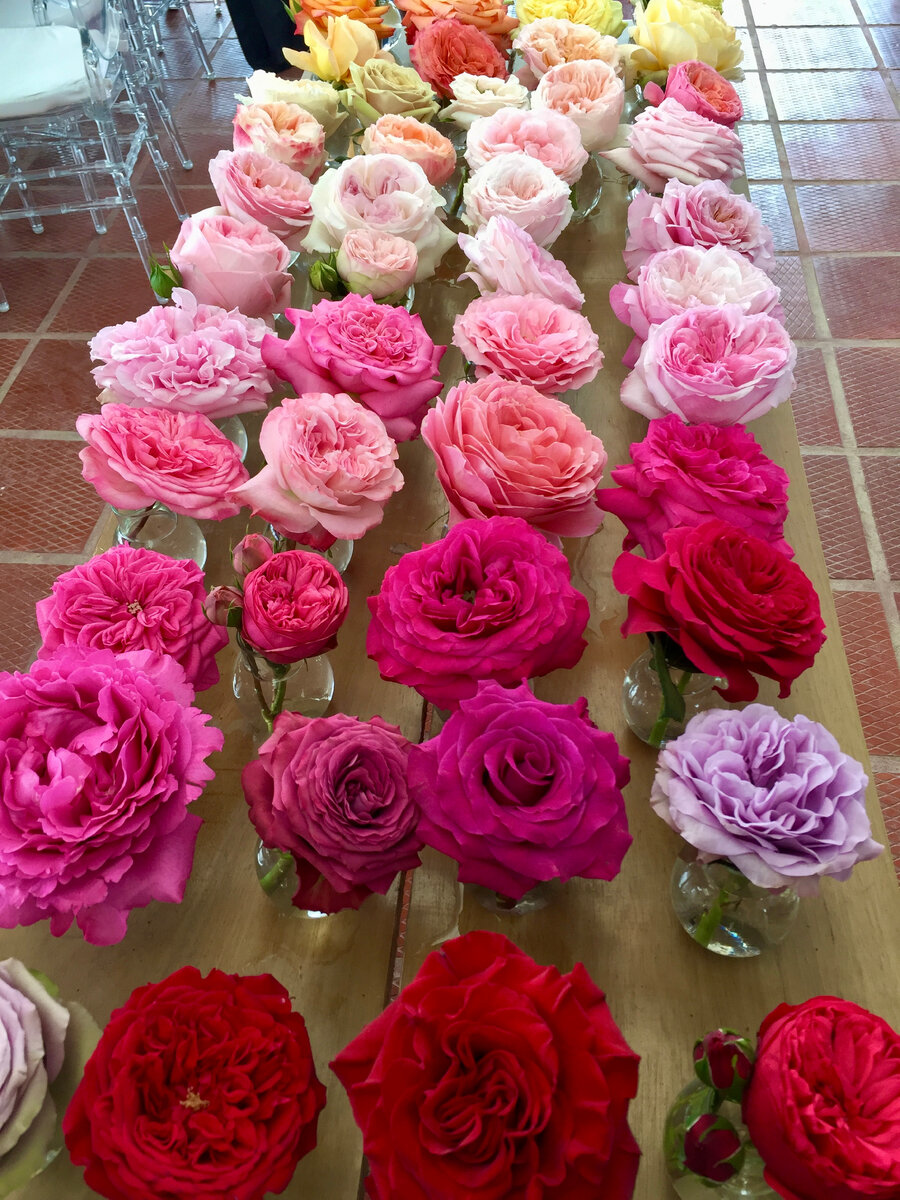 Фото из моего телефона сделано на плантации 