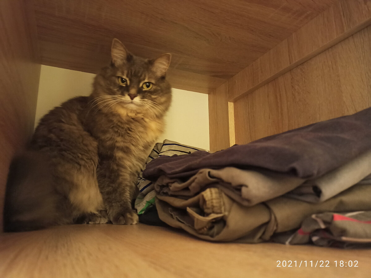 — Чего тебе, женщина?