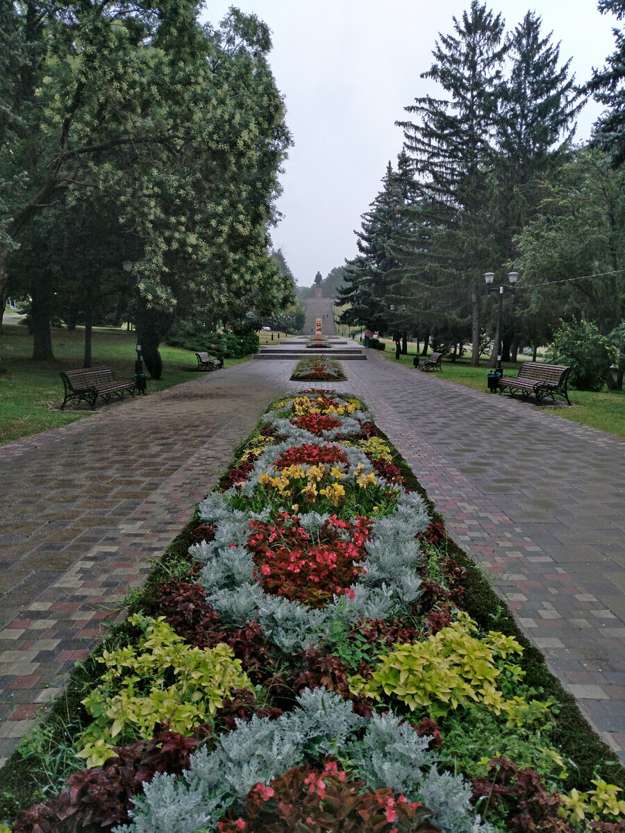 Красивый променад на улице Лермонтова