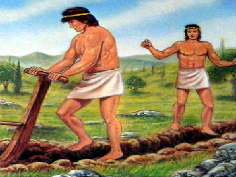 Ромул и Рем город основывают. (Информация из открытых источников)