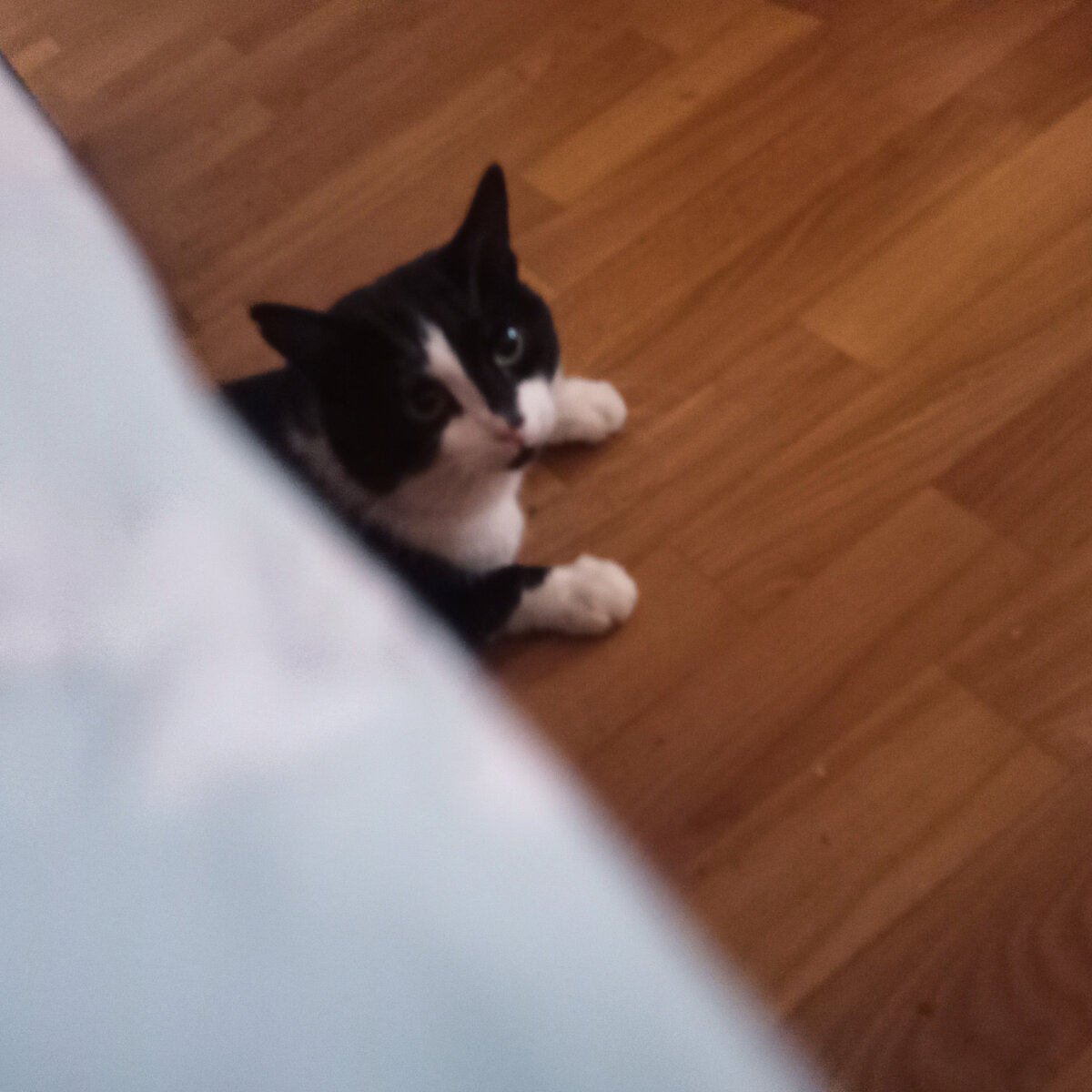 Геральт под-кроватный монстр