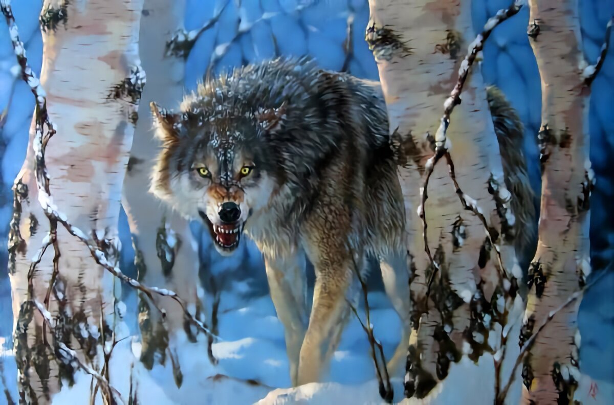 Среди берез и волчьих слез. Волк волчица и волчонок. Уагпнская королева. Волк и береза. Среди берез и волчьих слез.