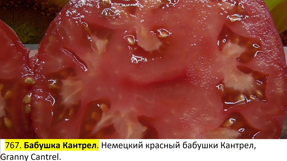 -86