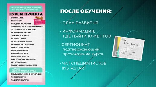 Бизнес проект инстастарт