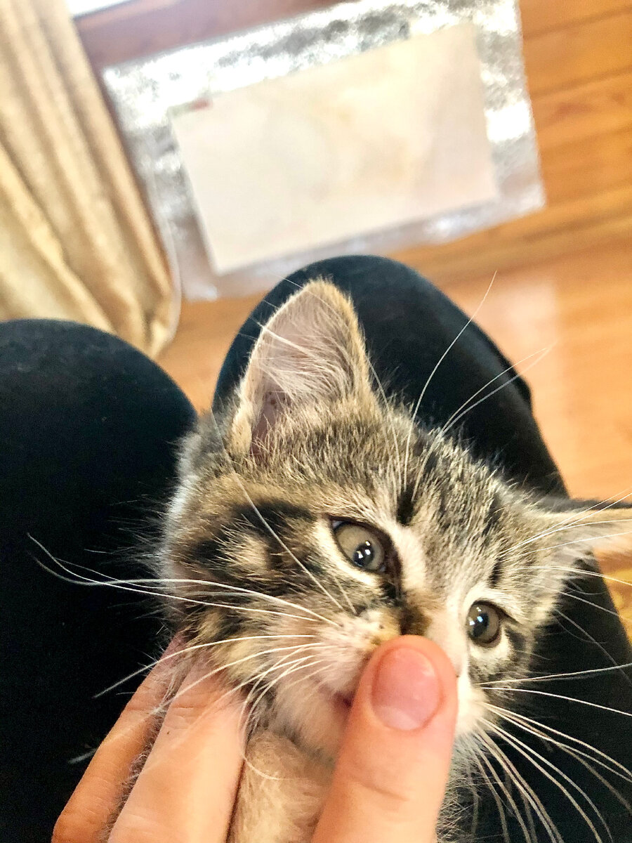 Васеньке 2-2,5 месяца здесь. 