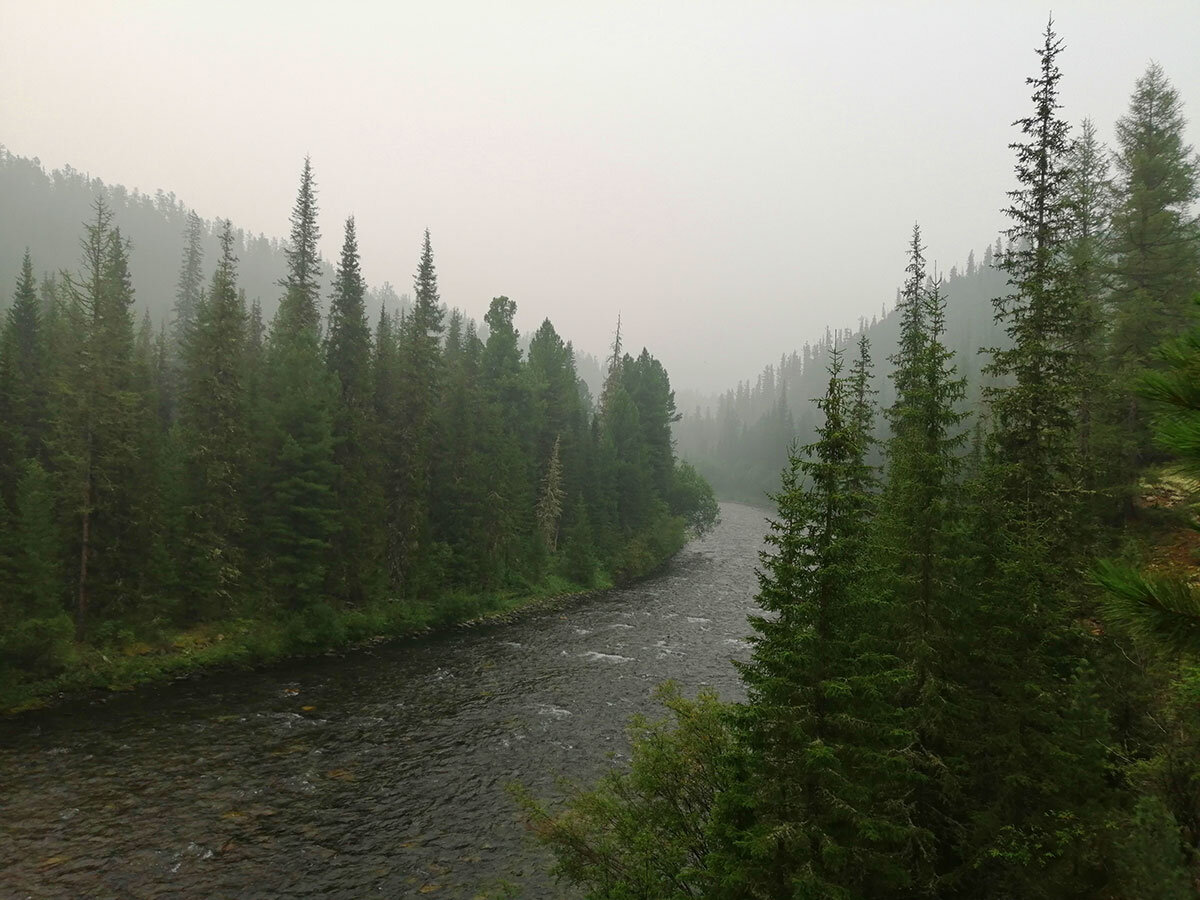 Открывается в новом окне