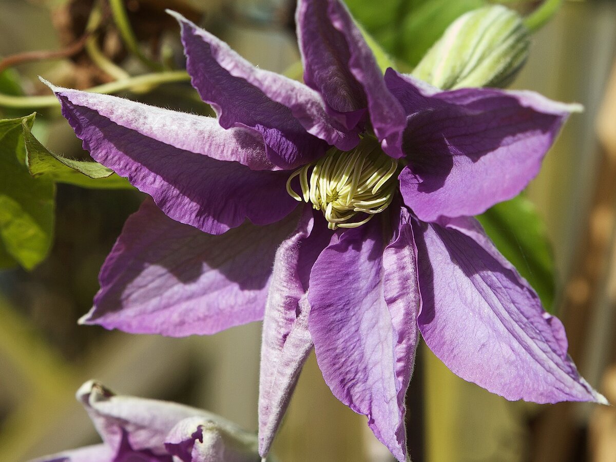 Фото: pixabay.com