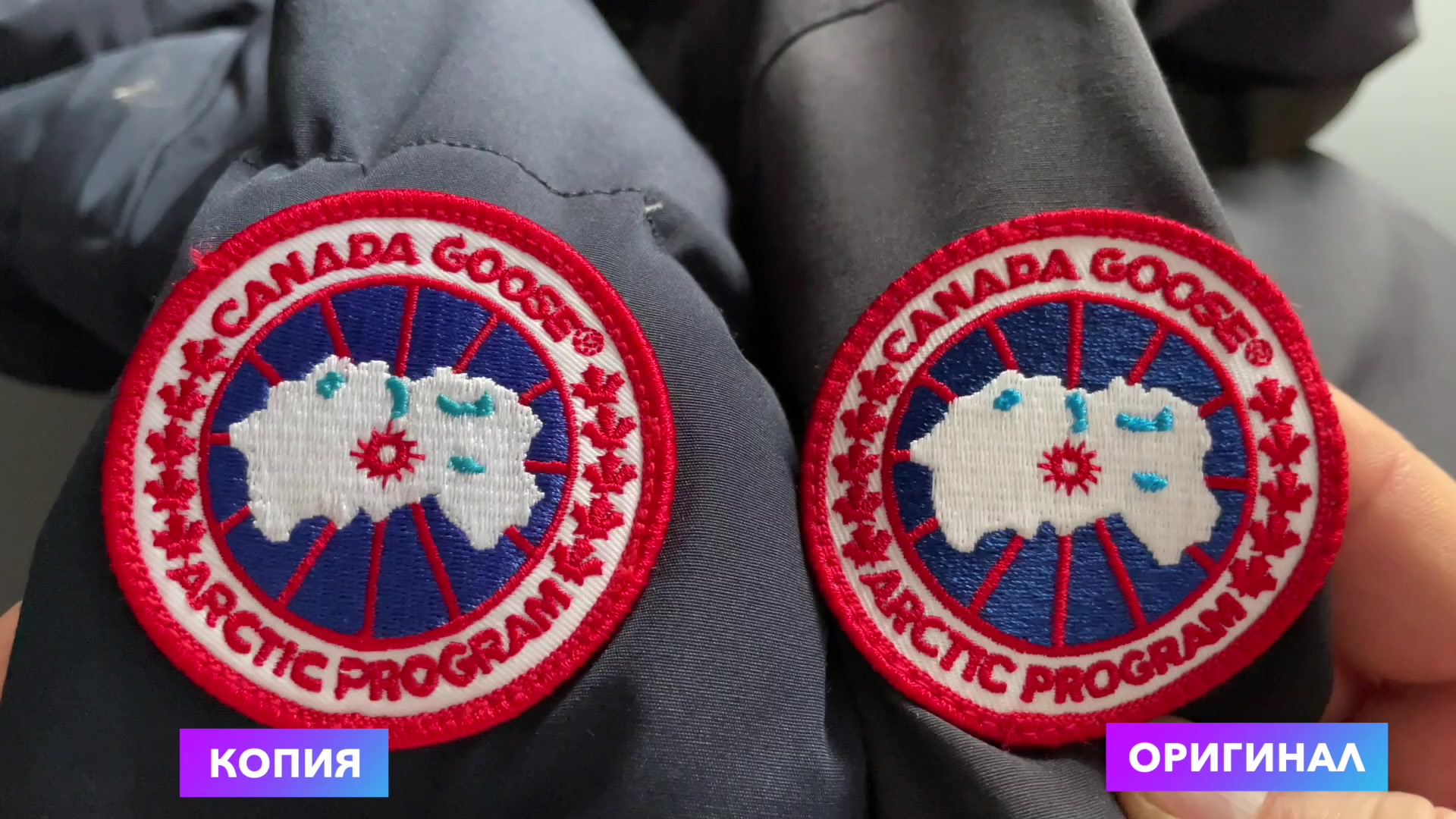 Блог сайта pervomaiskiy.ru - истории, материалы, статьи о Canada Goose