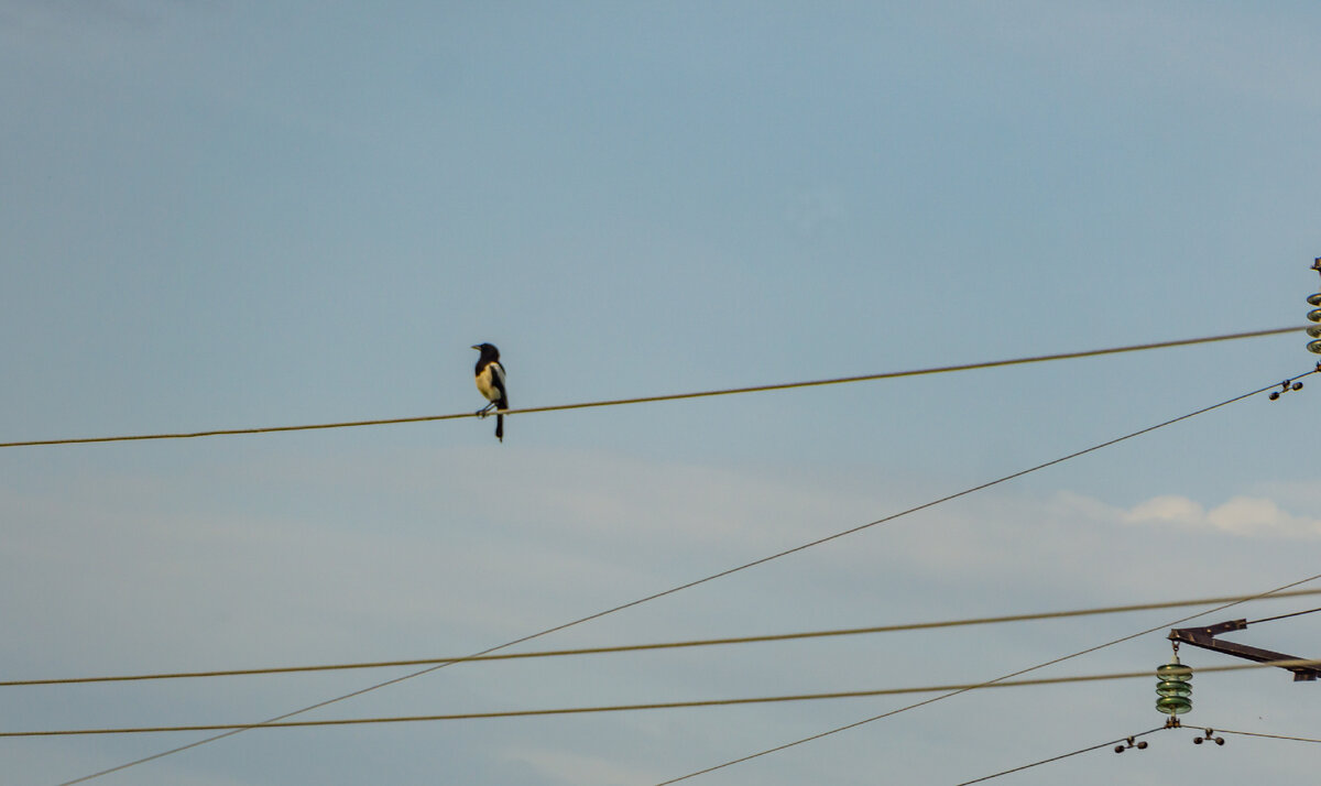 все фото автора