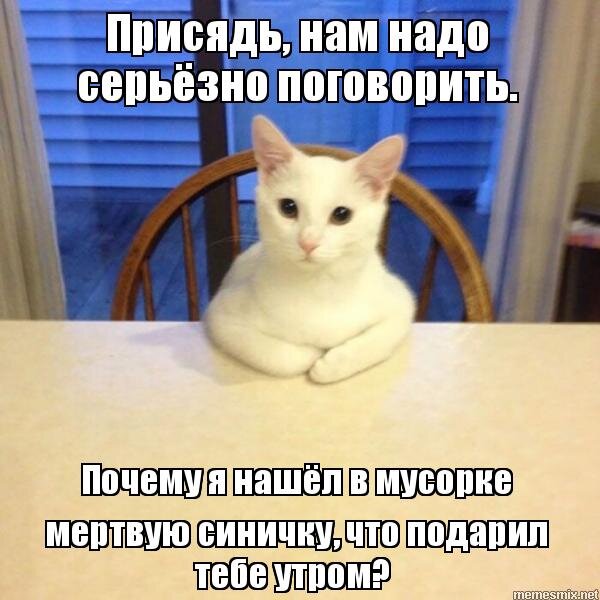 Фото из интернета. 