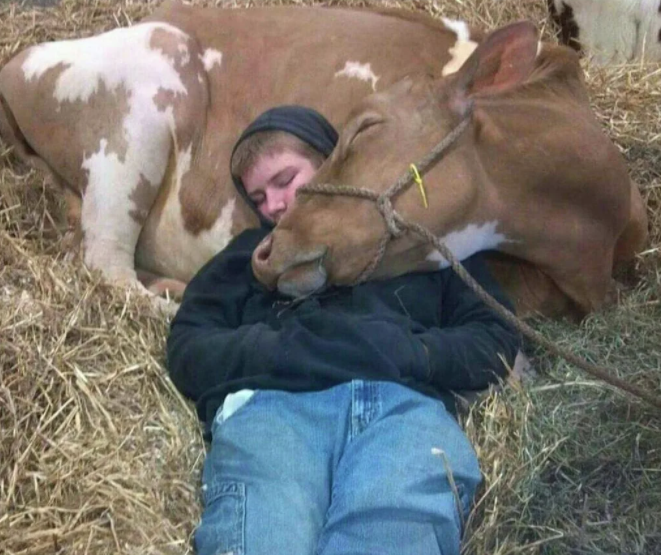 Фото: i.imgur.com