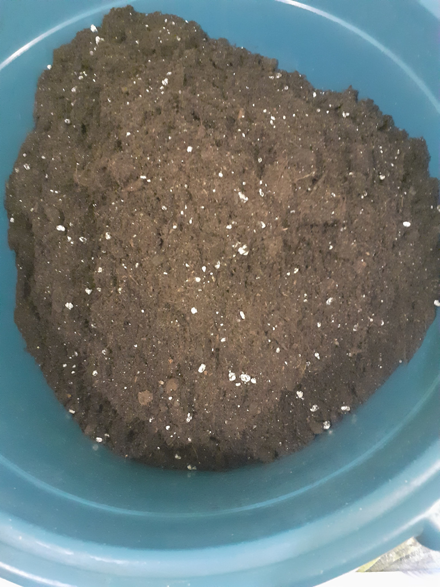 Готовый грунт. Фото автора