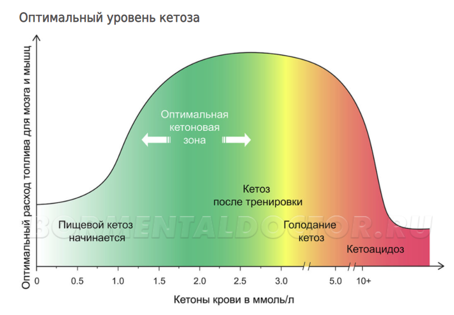 Сколько входит в кетоз. Как быстро войти в кетоз. Кето диета кетоз. Сколько входит в кетоз. Кетоз что это такое у человека.