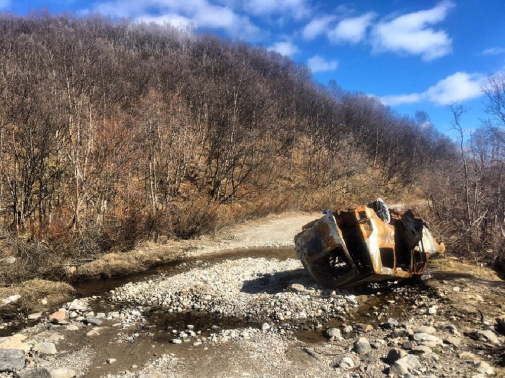 фото из интернета