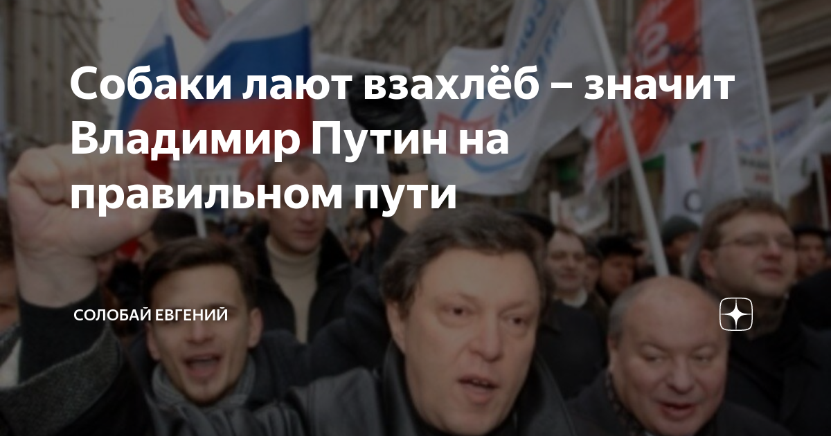 Почему россия выступала против. Антипутинцы. Шавки лают на Путина. Ответ антипутинцам.