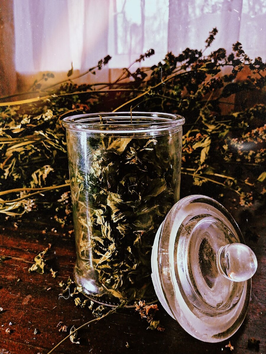 Запах мяты по всей кухне