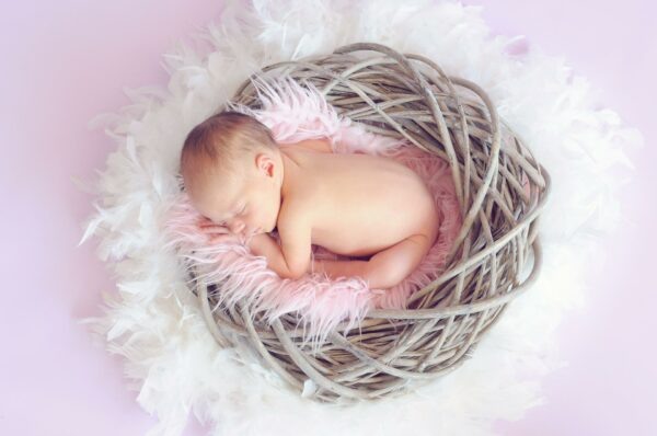    Фото: pixabay.com