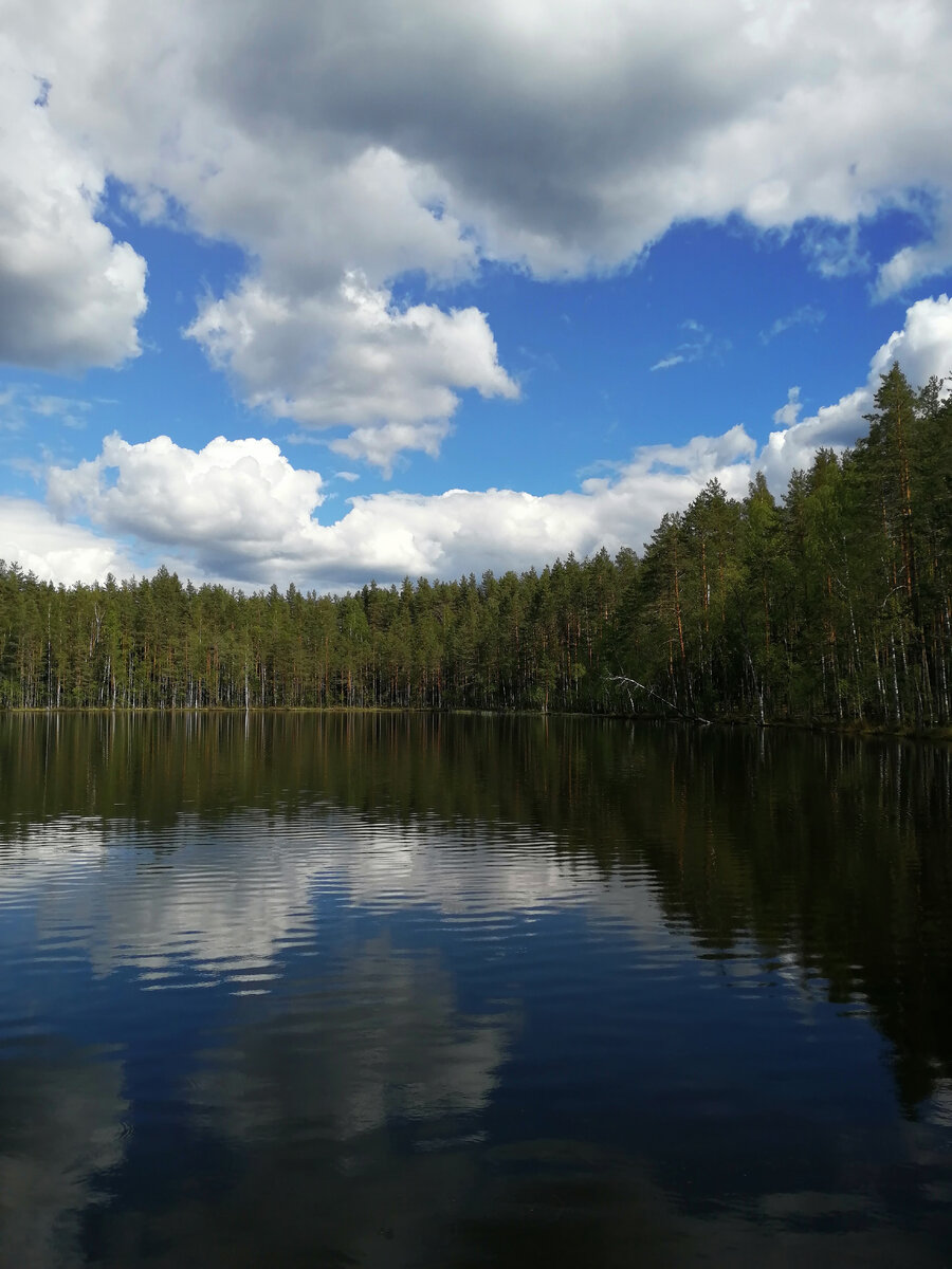 Петяярви. Озеро Лебяжье.