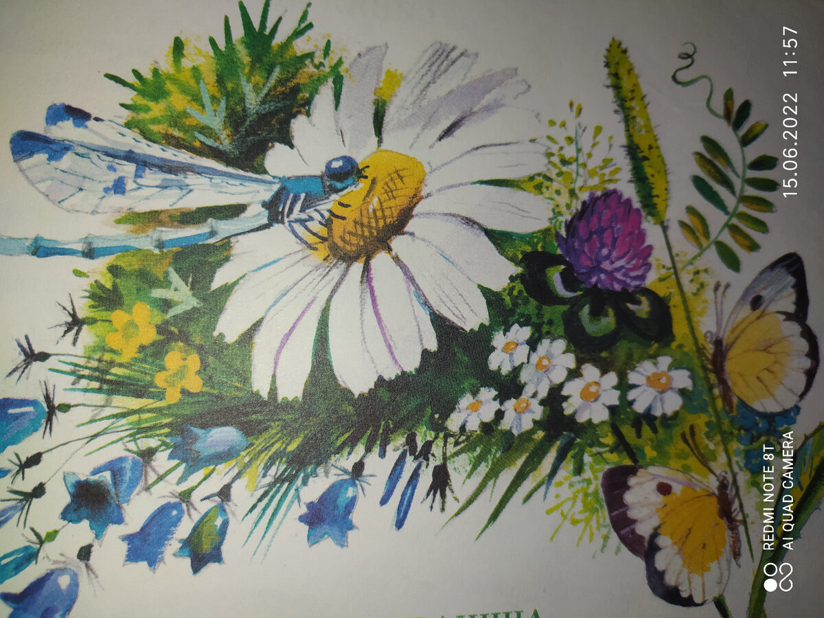 Иллюстрация из книги Золотые Страницы С. Я. Маршака. Издательства 2001 г, олма-пресс.