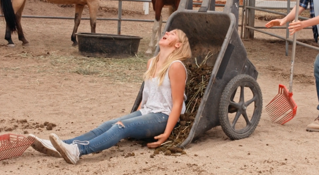 Конный приют - это не только катание на лошадках 😉